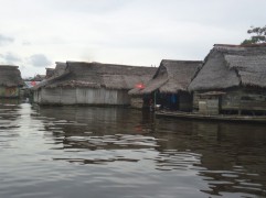 Image 1 Title