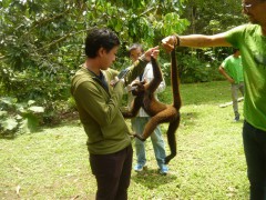 Image 1 Title
