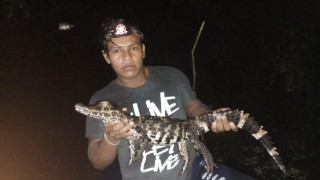Image 1 Title